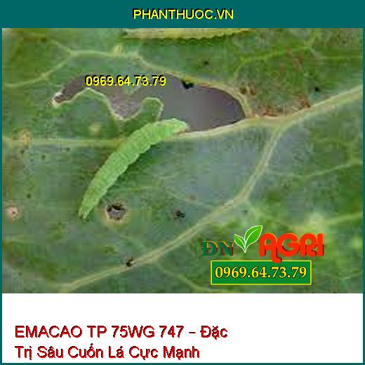 EMACAO TP 75WG 747 – Đặc Trị Sâu Cuốn Lá Cực Mạnh