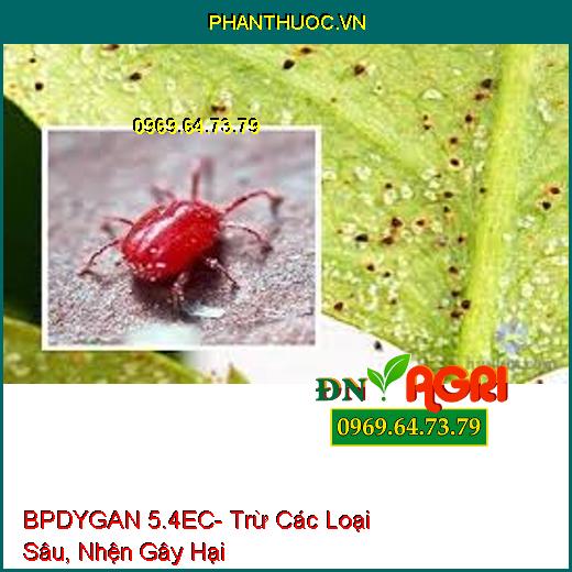 BPDYGAN 5.4EC- Trừ Các Loại Sâu, Nhện Gây Hại