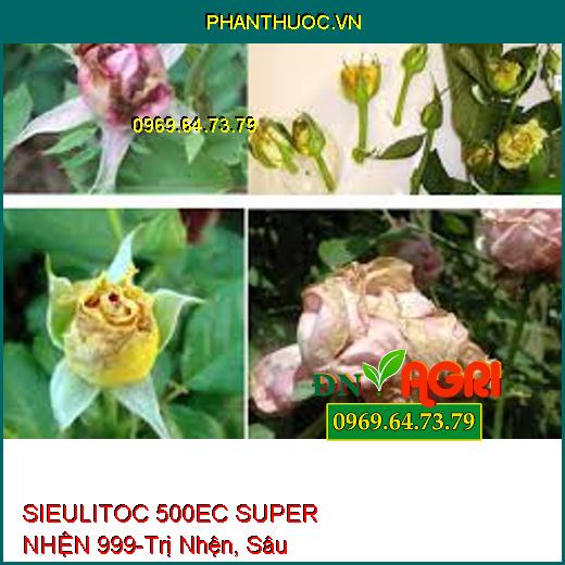 SIEULITOC 500EC SUPER NHỆN 999-Trị Nhện, Sâu