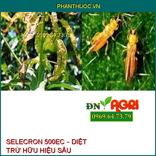 SELECRON 500EC – DIỆT TRỪ HỮU HIỆU SÂU