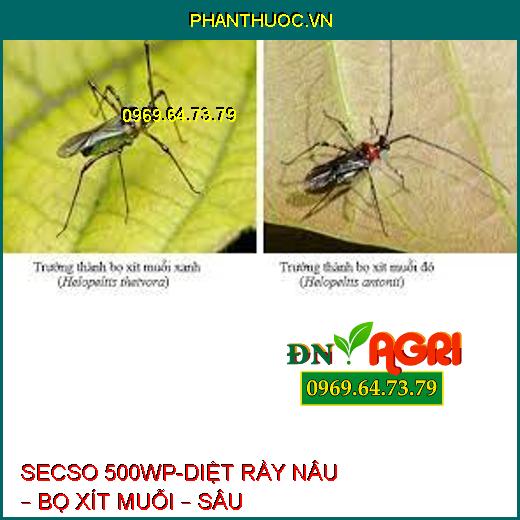 SECSO 500WP-DIỆT RẦY NÂU – BỌ XÍT MUỖI – SÂU KHOANG