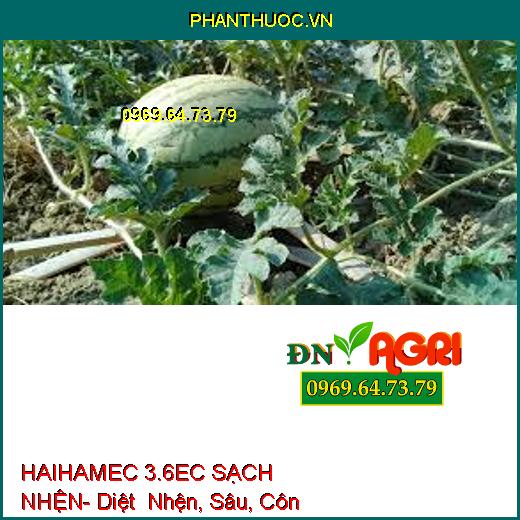 HAIHAMEC 3.6EC SẠCH NHỆN- Diệt Nhện, Sâu, Côn Trùng