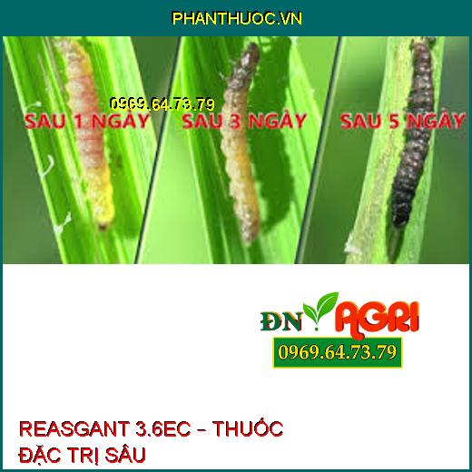 REASGANT 3.6EC – THUỐC ĐẶC TRỊ SÂU