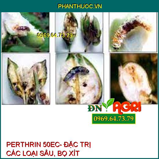 PERTHRIN 50EC- ĐẶC TRỊ CÁC LOẠI SÂU, BỌ XÍT