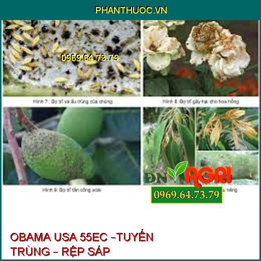 OBAMA USA 55EC –TUYẾN TRÙNG – RỆP SÁP 