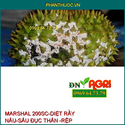 MARSHAL 200SC-DIỆT RẦY NÂU-SÂU ĐỤC THÂN -RỆP SÁP