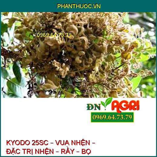 KYODO 25SC – VUA NHỆN – ĐẶC TRỊ NHỆN – RẦY – BỌ TRĨ