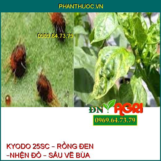 KYODO 25SC – RỒNG ĐEN –NHỆN ĐỎ – SÂU VẼ BÙA