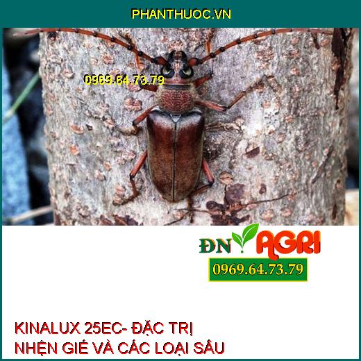 KINALUX 25EC- ĐẶC TRỊ NHỆN GIÉ VÀ CÁC LOẠI SÂU