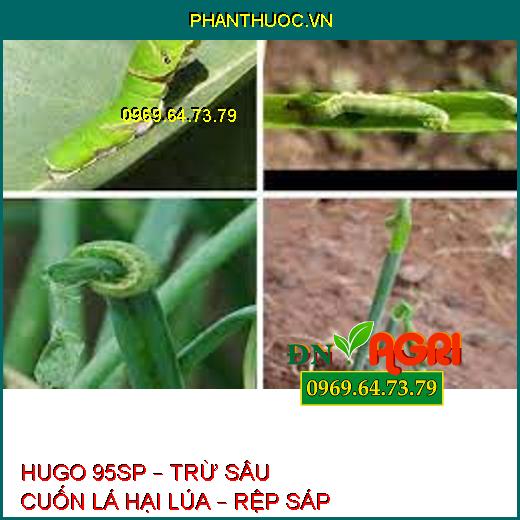 HUGO 95SP – TRỪ SÂU CUỐN LÁ HẠI LÚA – RỆP SÁP