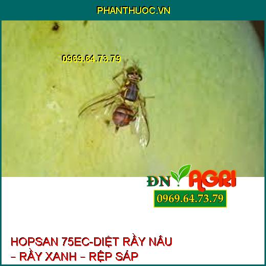 HOPSAN 75EC-DIỆT RẦY NÂU – RẦY XANH – RỆP SÁP