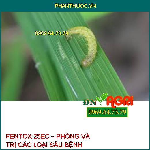 FENTOX 25EC – PHÒNG VÀ TRỊ CÁC LOẠI SÂU BỆNH