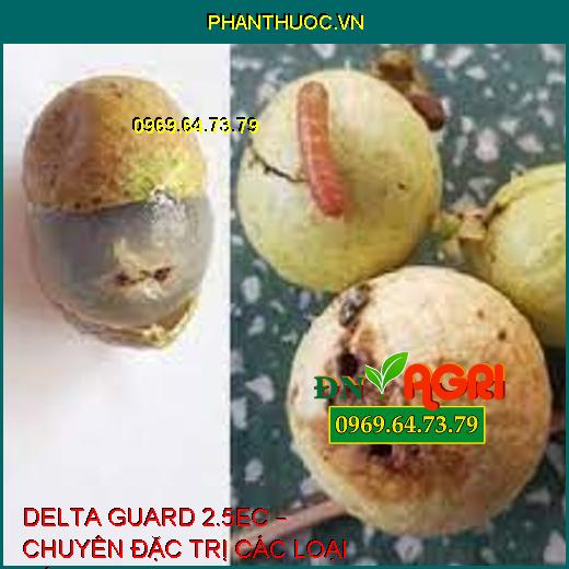 DELTA GUARD 2.5EC – CHUYÊN ĐẶC TRỊ CÁC LOẠI SÂU