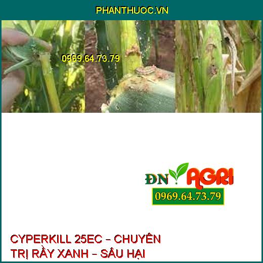 CYPERKILL 25EC – CHUYÊN TRỊ RẦY XANH – SÂU HẠI