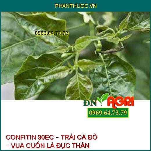 CONFITIN 90EC – TRÁI CÀ ĐỎ – VUA CUỐN LÁ ĐỤC THÂN