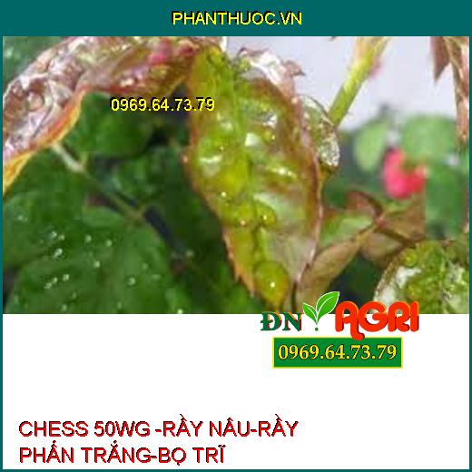 CHESS 50WG -RẦY NÂU-RẦY PHẤN TRẮNG-BỌ TRĨ