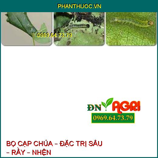 BỌ CẠP CHÚA – ĐẶC TRỊ SÂU – RẦY – NHỆN