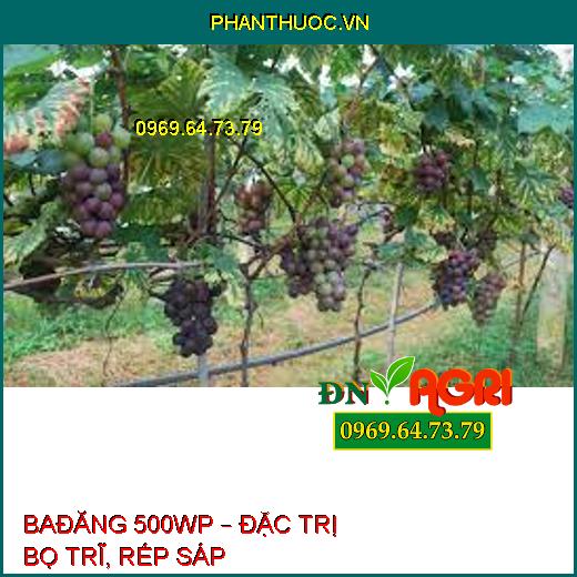 BAĐĂNG 500WP – ĐẶC TRỊ BỌ TRĨ, RẾP SÁP