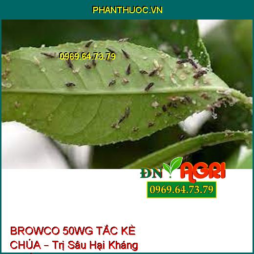 BROWCO 50WG TẮC KÈ CHÚA – Trị Sâu Hại Kháng Thuốc