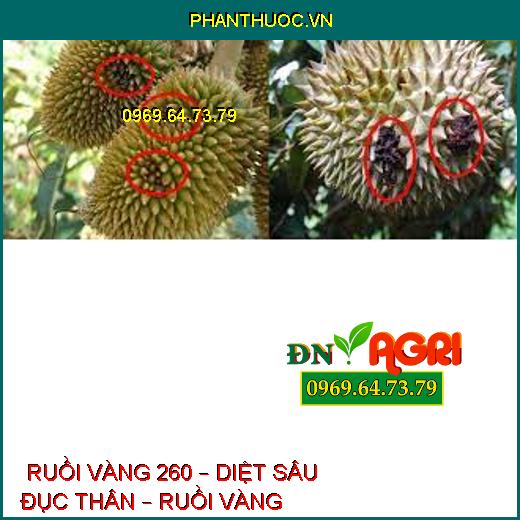  RUỒI VÀNG 260 – DIỆT SÂU ĐỤC THÂN – RUỒI VÀNG