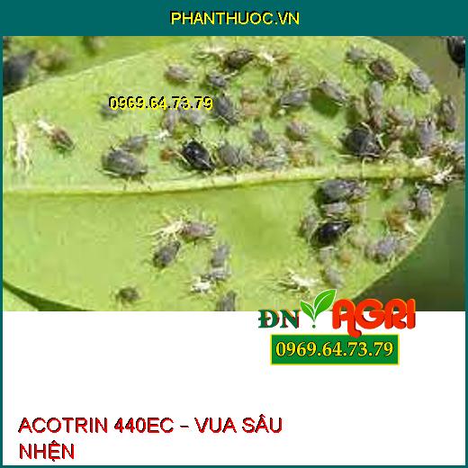 ACOTRIN 440EC – VUA SÂU NHỆN