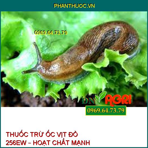 THUỐC TRỪ ỐC VỊT ĐỎ 256EW – HOẠT CHẤT MẠNH