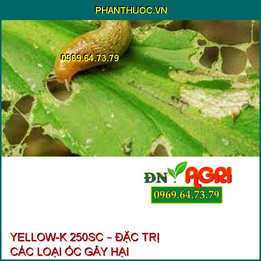 YELLOW-K 250SC – ĐẶC TRỊ CÁC LOẠI ỐC GÂY HẠI