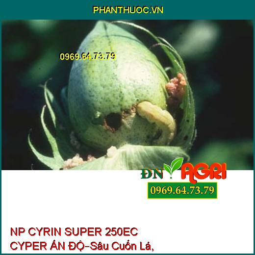 NP CYRIN SUPER 250EC CYPER ẤN ĐỘ–Sâu Cuốn Lá, Sâu Xa