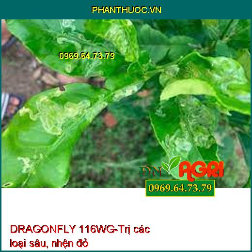 DRAGONFLY 116WG-Trị các loại sâu, nhện đỏ