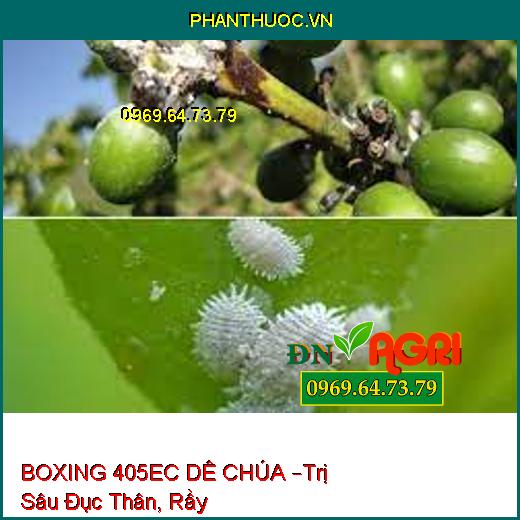 BOXING 405EC DÊ CHÚA –Trị Sâu Đục Thân, Rầy