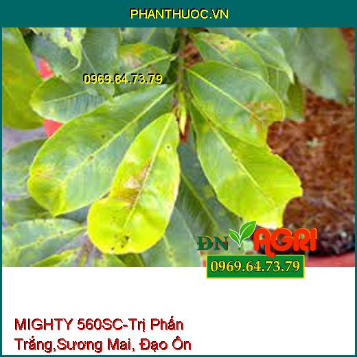 MIGHTY 560SC-Trị Phấn Trắng,Sương Mai, Đạo Ôn