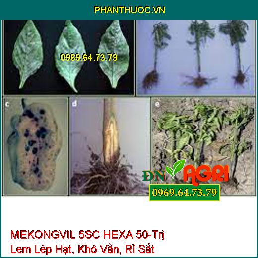 MEKONGVIL 5SC HEXA 50-Trị Lem Lép Hạt, Khô Vằn, Rỉ Sắt