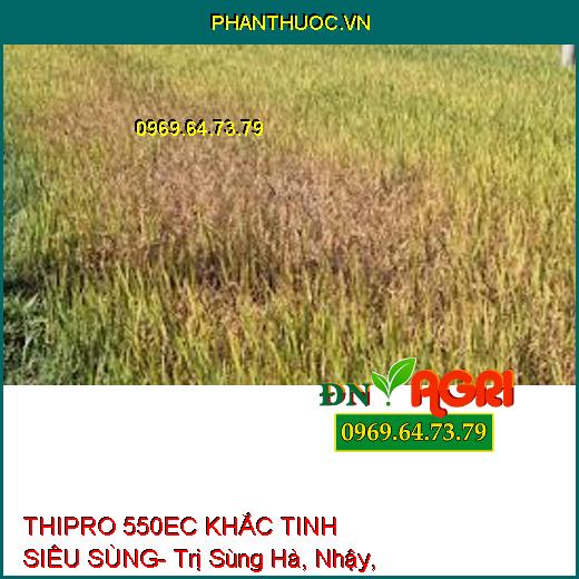 THIPRO 550EC KHẮC TINH SIÊU SÙNG- Trị Sùng Hà, Nhậy, Sâu