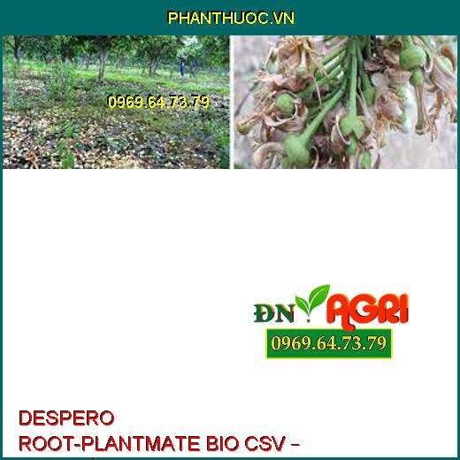 DESPERO ROOT-PLANTMATE BIO CSV – Đâm Chồi,Nuôi Quả