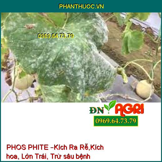 PHOS PHITE –Kích Ra Rễ,Kích hoa, Lớn Trái, Trừ sâu bệnh