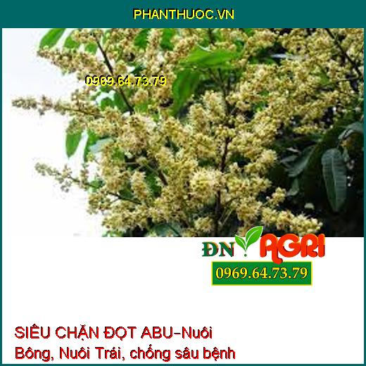 SIÊU CHẶN ĐỌT ABU–Nuôi Bông, Nuôi Trái, chống sâu bệnh