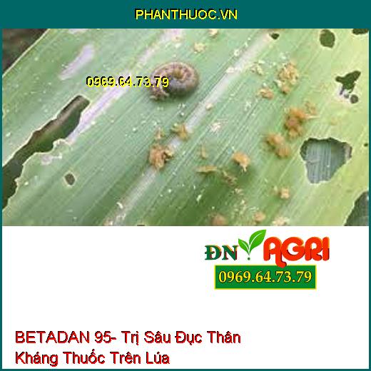 BETADAN 95- Trị Sâu Đục Thân Kháng Thuốc Trên Lúa