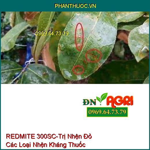 REDMITE 300SC-Trị Nhện Đỏ Các Loại Nhện Kháng Thuốc