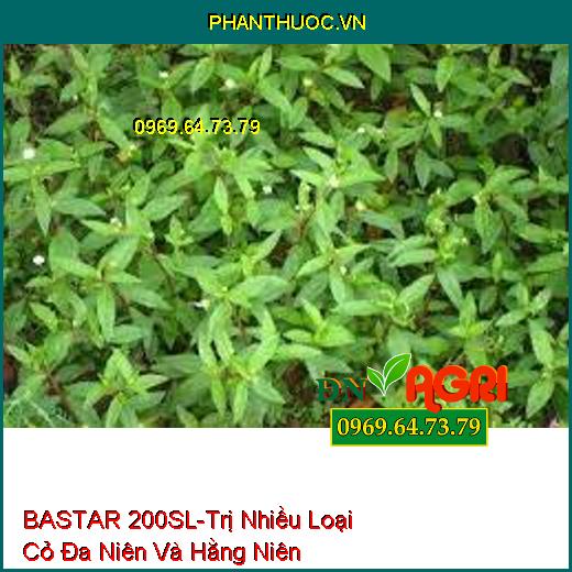 BASTAR 200SL-Trị Nhiều Loại Cỏ Đa Niên Và Hằng Niên