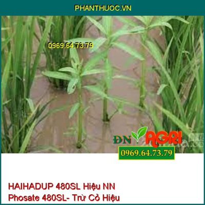 HAIHADUP 480SL Hiệu NN Phosate 480SL- Trừ Cỏ Hiệu Qủa