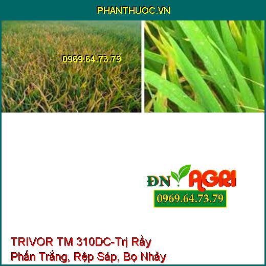 TRIVOR TM 310DC-Trị Rầy Phấn Trắng, Rệp Sáp, Bọ Nhảy