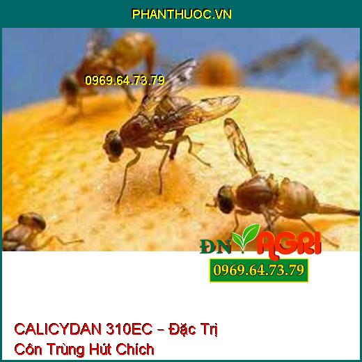 CALICYDAN 310EC – Đặc Trị Côn Trùng Hút Chích