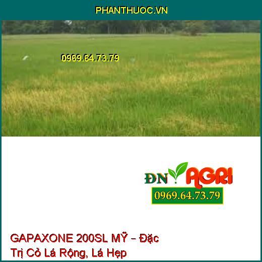 GAPAXONE 200SL MỸ – Đặc Trị Cỏ Lá Rộng, Lá Hẹp