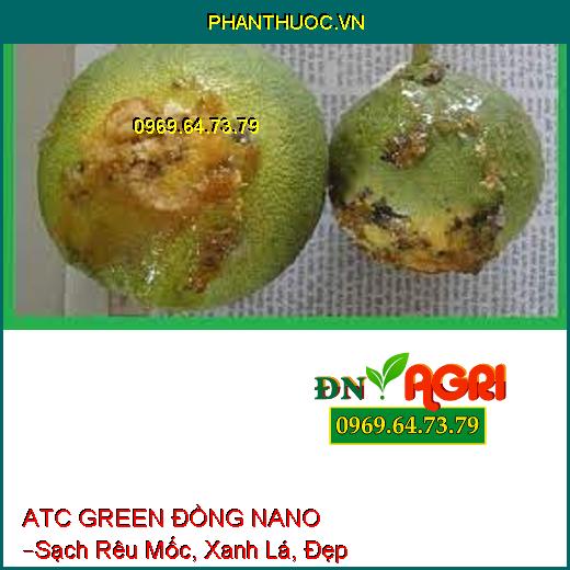 ATC GREEN ĐỒNG NANO –Sạch Rêu Mốc, Xanh Lá, Đẹp Trái