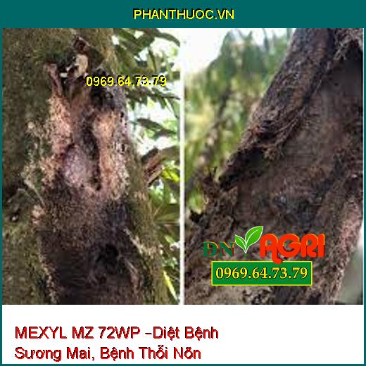 MEXYL MZ 72WP –Diệt Bệnh Sương Mai, Bệnh Thỗi Nõn