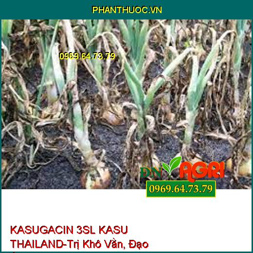 KASUGACIN 3SL KASU THAILAND-Trị Khô Vằn, Đạo Ôn,Sương Mai