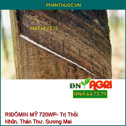 RIĐÔMIN MỸ 720WP- Trị Thối Nhũn, Thán Thư, Sương Mai