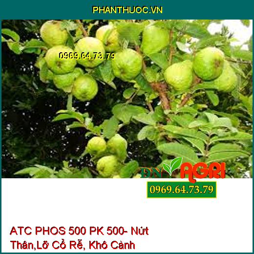 ATC PHOS 500 PK 500- Nứt Thân,Lỡ Cổ Rễ, Khô Cành