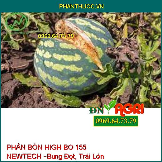 PHÂN BÓN HIGH BO 155 NEWTECH –Bung Đọt, Trái Lớn