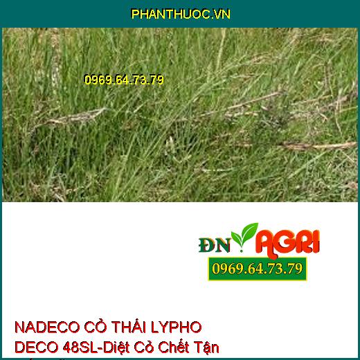 NADECO CỎ THÁI LYPHO DECO 48SL-Diệt Cỏ Chết Tận Gốc Rễ